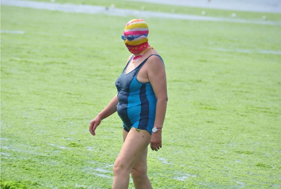 2013年7月3日，山東青島青島高溫來襲，“青島大媽”不懼滸苔，戴著“強(qiáng)盜面具”出現(xiàn)在海水浴場(chǎng)消暑降