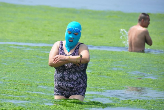 2013年7月3日，山東青島青島高溫來襲，“青島大媽”不懼滸苔，戴著“強(qiáng)盜面具”出現(xiàn)在海水浴場(chǎng)消暑降