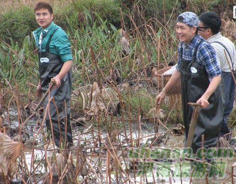 爸爸去哪兒？親密接觸荷花仙子