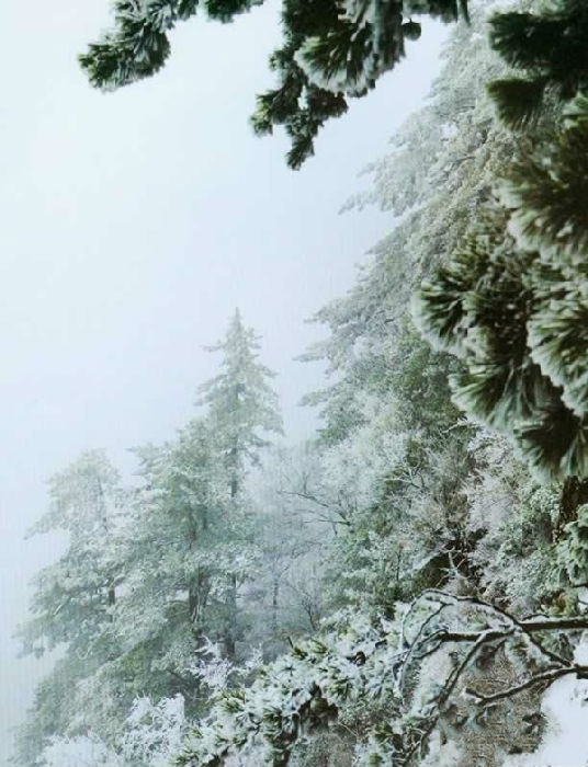 又是霧霾天 省內洗肺游線路推薦