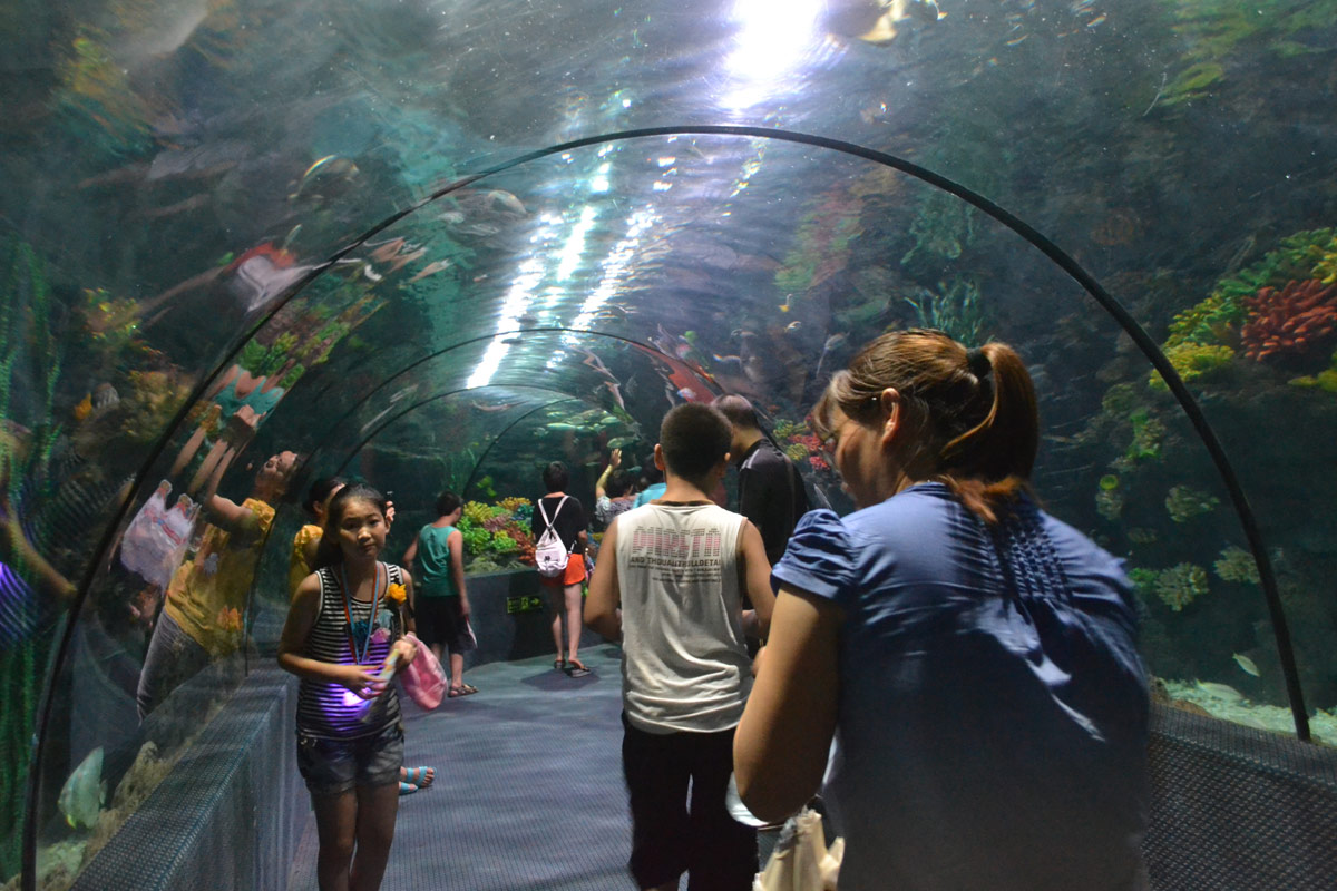 春節(jié)去哪兒？出游地圖告訴您！