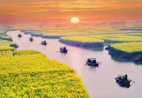 如何拍攝油菜花？達(dá)人教你7個拍攝技巧