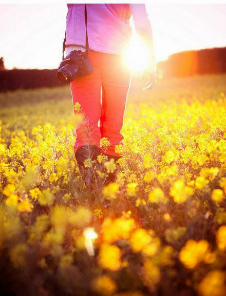 如何拍攝油菜花？達(dá)人教你7個拍攝技巧