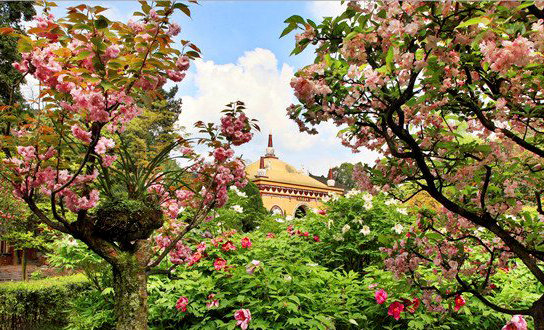 麻辣冬日二三五，芳菲三月看峨眉