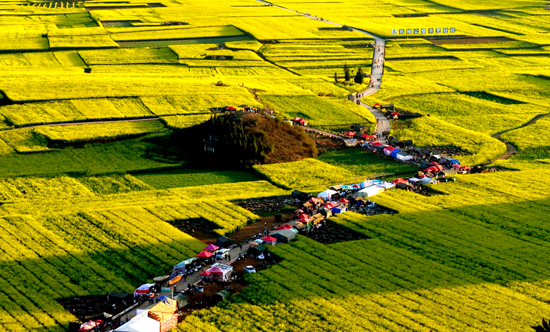看油菜花不跑遠(yuǎn) 盤(pán)點(diǎn)專屬河南的油菜花田