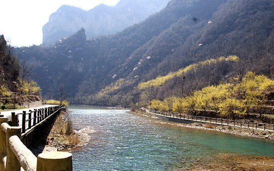 有一種呼喚，叫春天里的蟒河！