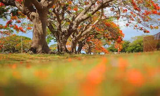 適合在冬天旅游的十個絕美海島！