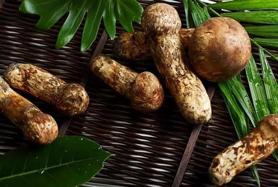 世界上最貴的食物 吃一口傾家蕩產(chǎn) 世界上最貴的食物 吃一口傾家蕩產(chǎn)