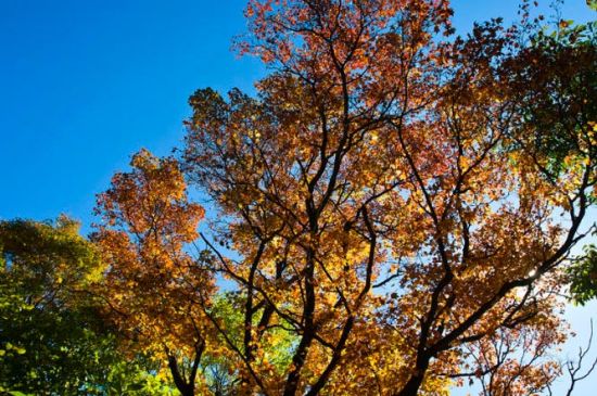 秋天，美好的季節(jié)