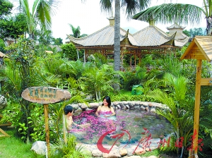 溫泉區(qū)樹木蔥蔥。