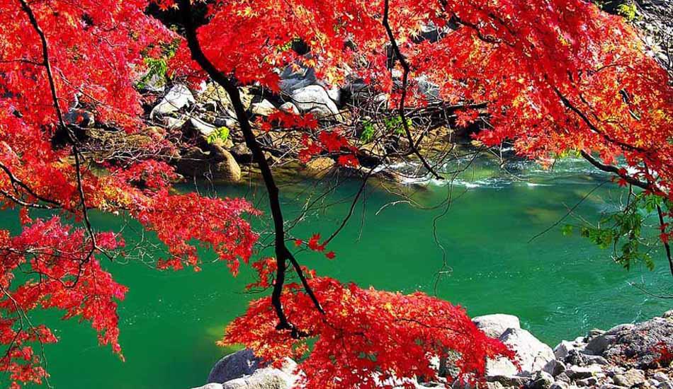 9月 與青天河景區(qū)來場(chǎng)約“惠”吧