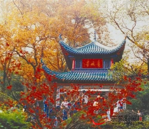 愛(ài)晚亭 愛(ài)晚亭