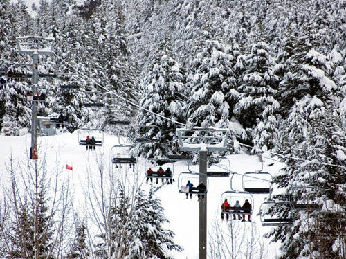 阿拉斯加，阿里耶斯卡