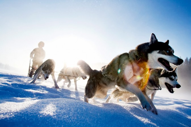 冬季貝加爾,適合享受冰上運(yùn)動(dòng),狗拉雪橇、雪上摩托車、雪地徒步等都是不錯(cuò)的選擇 F5.6,1/115秒