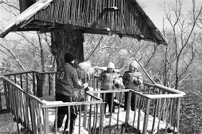 　　clubmed里有來(lái)自國(guó)外的滑雪教練教兒童滑雪?！? oldsrc=