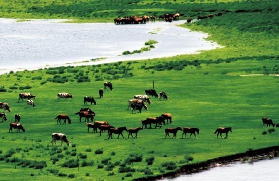 　　處處翠色欲流,馬兒自然入畫?！? complete=