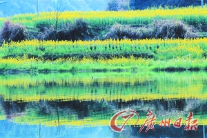 　　江嶺梯田落差不大,但有花有水。