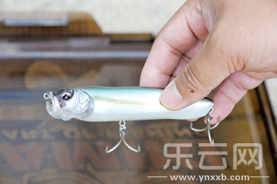 　　又稱擬餌釣魚(yú),起源于歐洲,國(guó)內(nèi)翻譯為“路亞”。