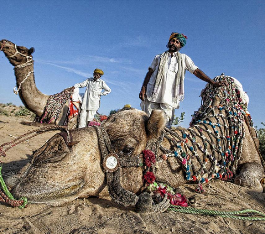 全家出國(guó)游去哪里？推薦十佳旅游勝地