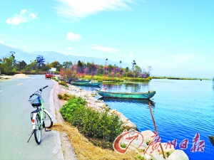 洱海的藍(lán)讓人沉醉。