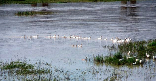 冬季正是觀鳥時(shí) 省內(nèi)觀鳥地盤點(diǎn) 冬季正是觀鳥時(shí) 省內(nèi)觀鳥地盤點(diǎn)
