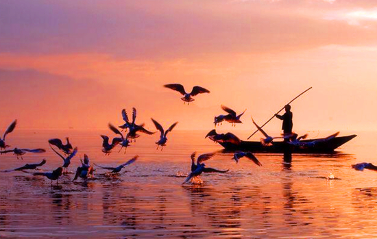 冬季正是觀鳥時(shí) 省內(nèi)觀鳥地盤點(diǎn) 冬季正是觀鳥時(shí) 省內(nèi)觀鳥地盤點(diǎn)