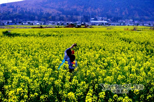 　　不論從人文氣息還是田園自然風(fēng)光,都值得我們?？俊?圖片來源:CFP)