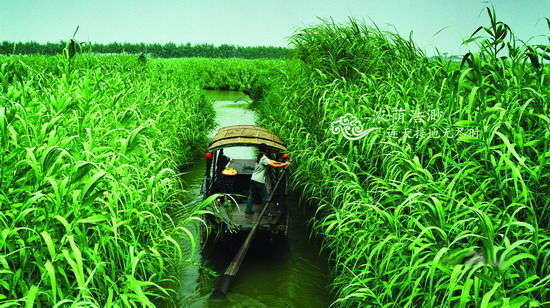 體驗(yàn)江南式休閑 市井間品味悠然時光