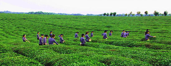 體驗(yàn)江南式休閑 市井間品味悠然時光