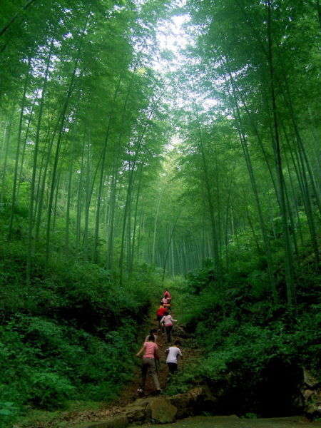 體驗(yàn)江南式休閑 市井間品味悠然時光