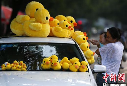 大黃鴨9月16日正式亮相北京 有望“長(zhǎng)高個(gè)兒”