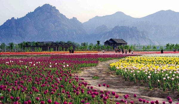 別樣蜜月，河南最適宜新婚度假的景區(qū)