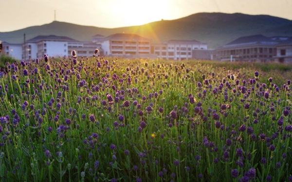 別樣蜜月，河南最適宜新婚度假的景區(qū)