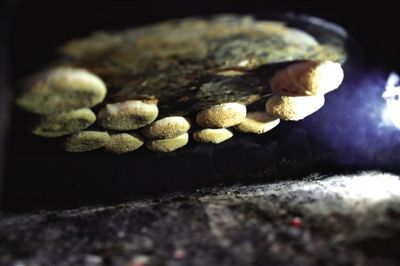 吊爐燒餅是黃驊最典型的面食之一，這種手藝在一些老院子里已經(jīng)傳承了上百年時(shí)間。