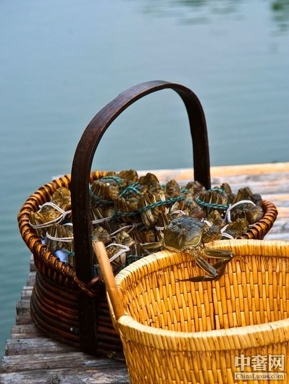 陽(yáng)澄湖滋味“蟹”逅 費(fèi)爾蒙嘗盡時(shí)令大閘蟹