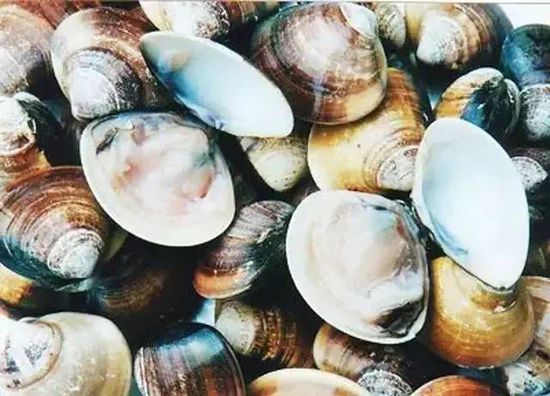 秋季最適合吃的海鮮是這10種 你吃對了嗎？