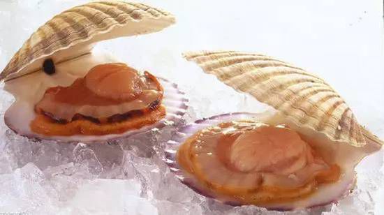 秋季最適合吃的海鮮是這10種 你吃對了嗎？