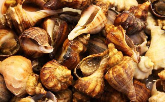 秋季最適合吃的海鮮是這10種 你吃對了嗎？