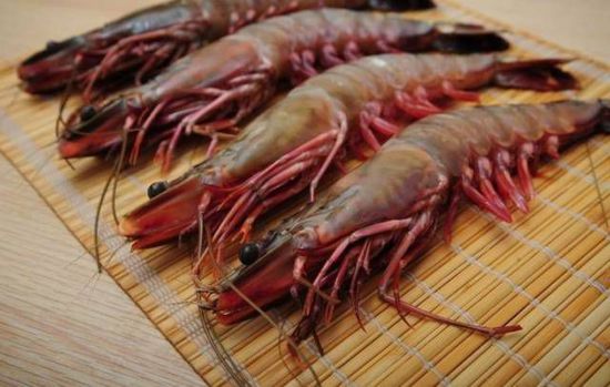 秋季最適合吃的海鮮是這10種 你吃對了嗎？