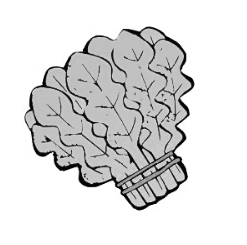 雪后菜價(jià)瘋漲15倍？沒恁夸張 元旦豬肉雞蛋或漲價(jià)