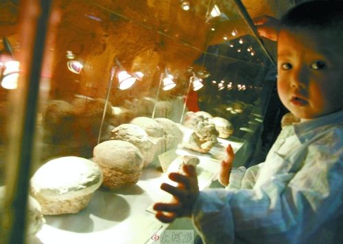 恐龍蛋，這回見(jiàn)識(shí)了吧！