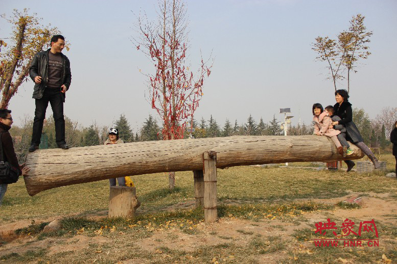 巨大的蹺蹺板，一棵樹。。。看玩的多嗨