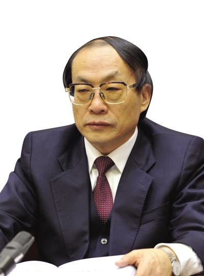 劉志軍（資料圖片）。新華社發(fā)