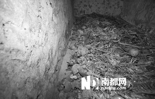 　5月29日，在以色列特拉維夫市雅法地區(qū)，一處集體墳墓被發(fā)現(xiàn)。