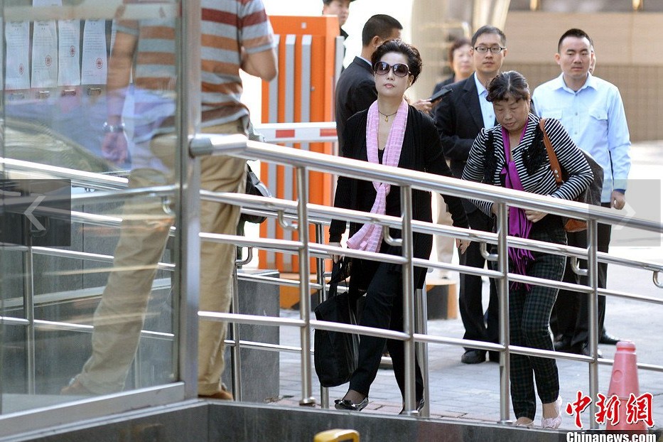 夢鴿現(xiàn)身海淀法院。中新網(wǎng)記者 金碩 攝