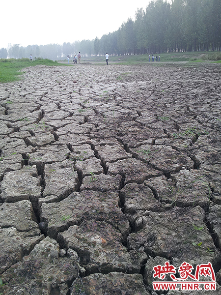 澎河匯入白龜山水庫(kù)處，河床已經(jīng)全部干裂，等待丹江水的到來(lái)。