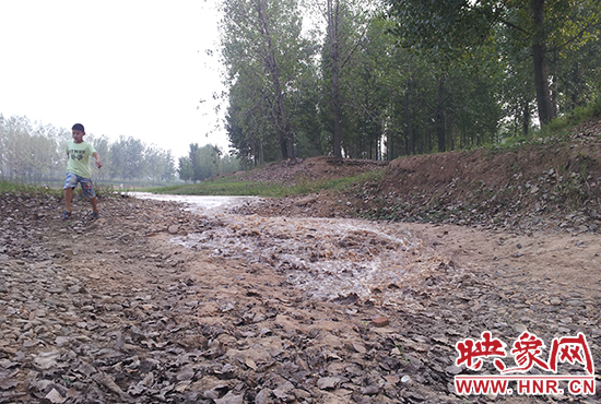 18日丹江水沿澎河流向白龜山水庫(kù)，孩子歡騰起來(lái)，跟著水頭奔跑。