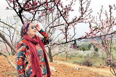公式“時(shí)尚奶奶”的賞花照，收獲了好多人的點(diǎn)贊。 受訪者供圖