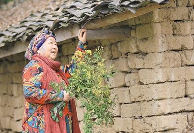 公式“時(shí)尚奶奶”的賞花照，收獲了好多人的點(diǎn)贊。 受訪者供圖