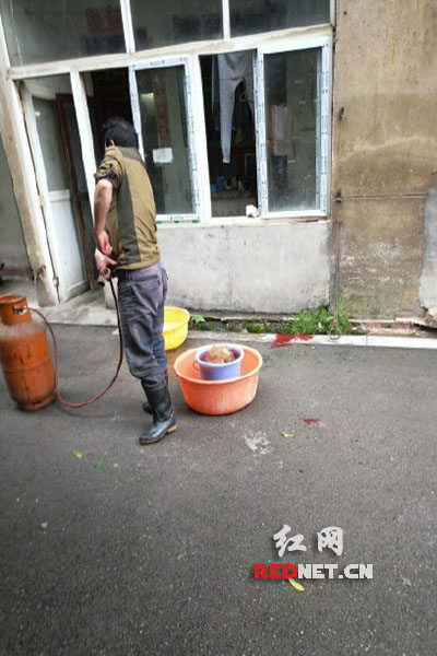 5月8日，男子在校園里殺狗，地上殘留一塊血跡。目擊者供圖。